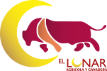logo-151-100-transp